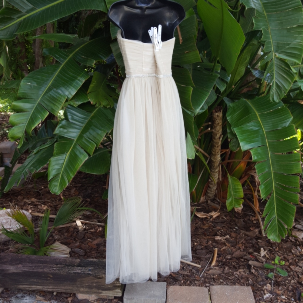 Minuet Strapless corset dress - Picture 3 of 5